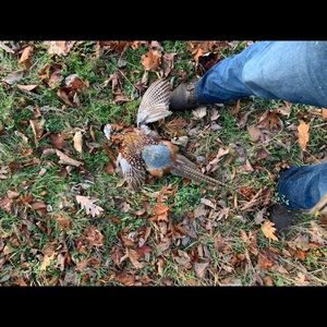 Meet your Posher, Blaine